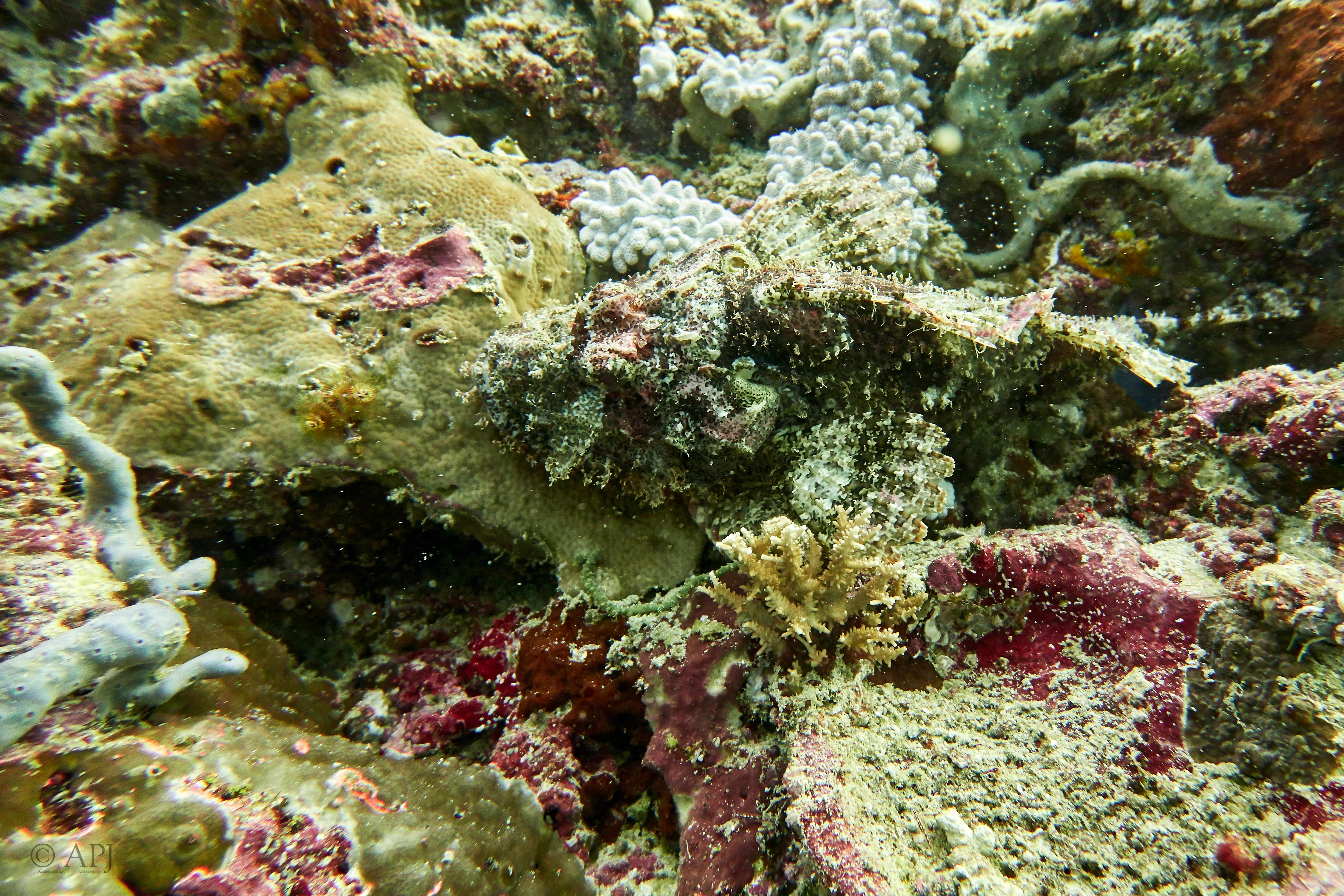 002093 17 08 17  Canon PowerShot G7 X Mark II   Malediven2017